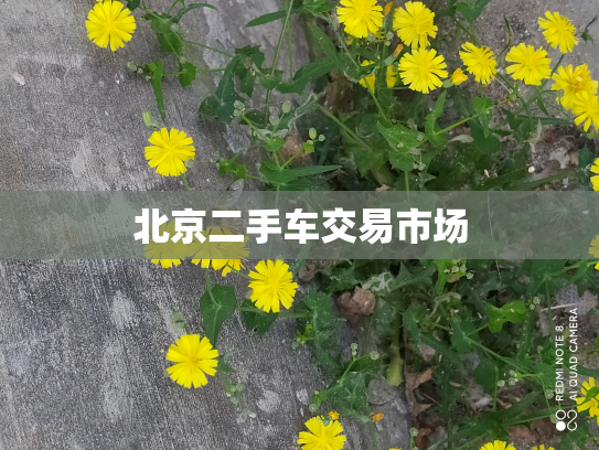 北京二手车交易市场
