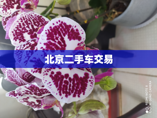 北京二手车交易