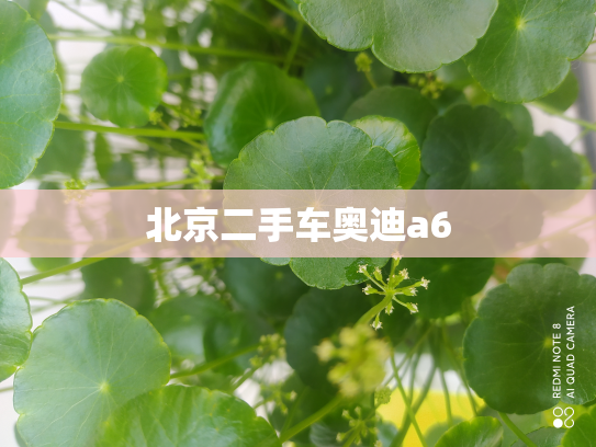 北京二手车奥迪a6