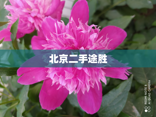 北京二手途胜