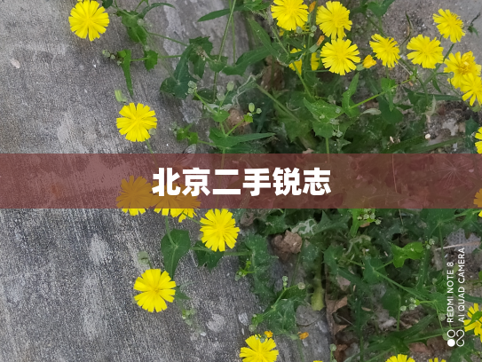 北京二手锐志