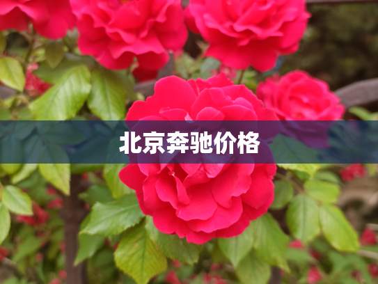 北京奔驰价格