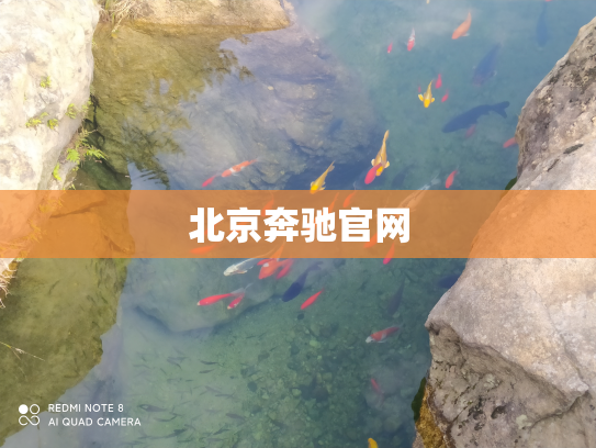 北京奔驰官网
