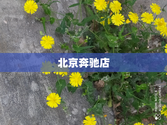 北京奔驰店