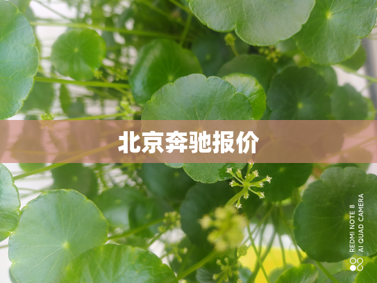 北京奔驰报价