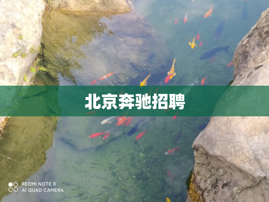 北京奔驰招聘