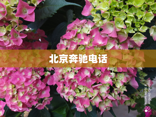 北京奔驰电话