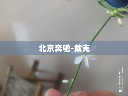 北京奔驰-戴克