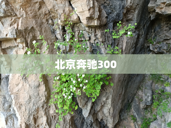 北京奔驰300
