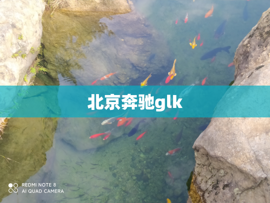 北京奔驰glk