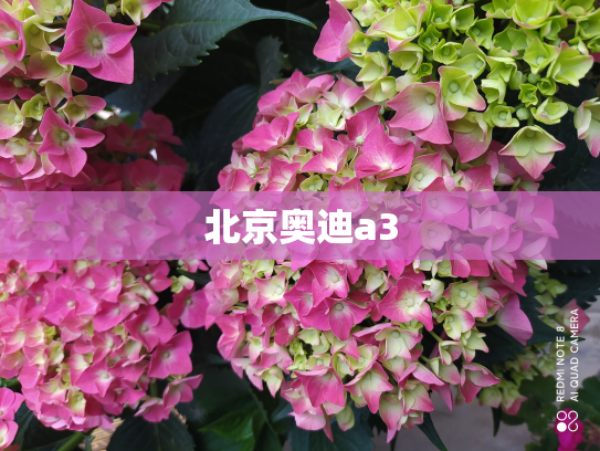 北京奥迪a3