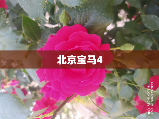 北京宝马4