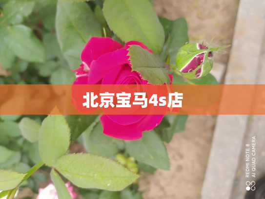 北京宝马4s店