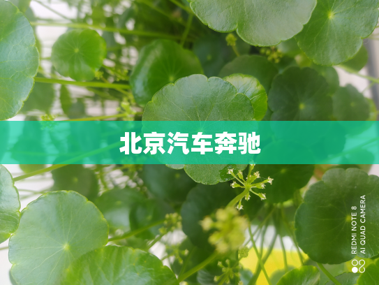 北京汽车奔驰
