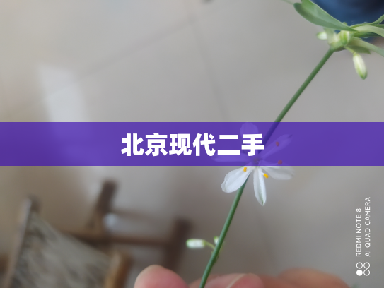 北京现代二手