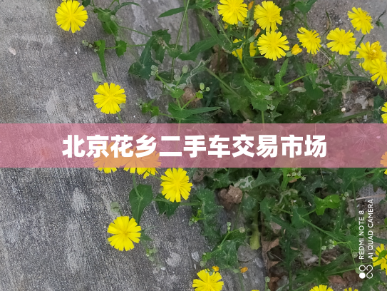 北京花乡二手车交易市场