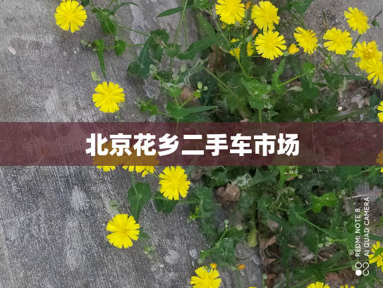 北京花乡二手车市场