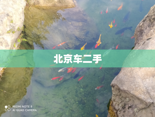 北京车二手