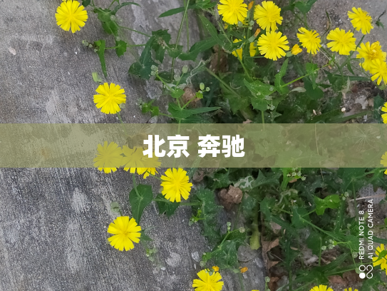 北京 奔驰