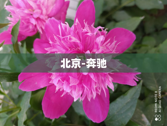 北京-奔驰