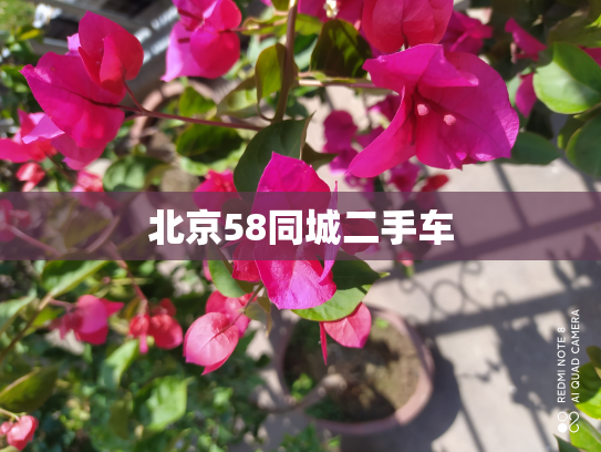 北京58同城二手车