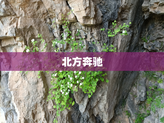 北方奔驰