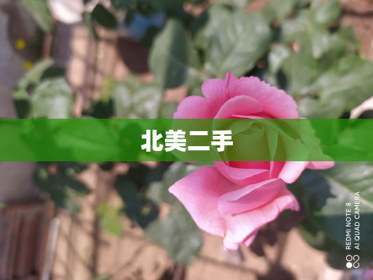 北美二手