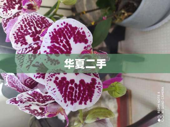 华夏二手