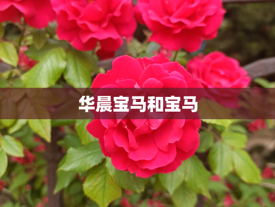 华晨宝马和宝马