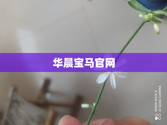 华晨宝马官网