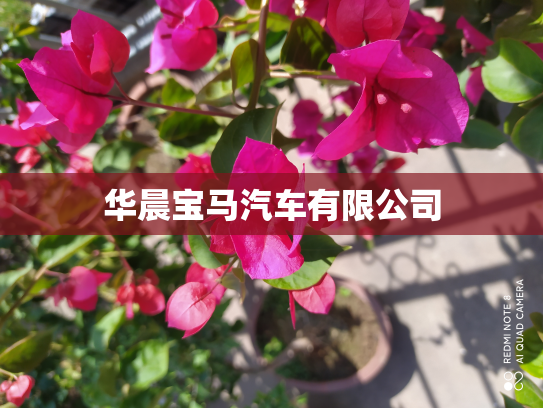 华晨宝马汽车有限公司