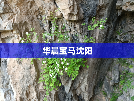 华晨宝马沈阳