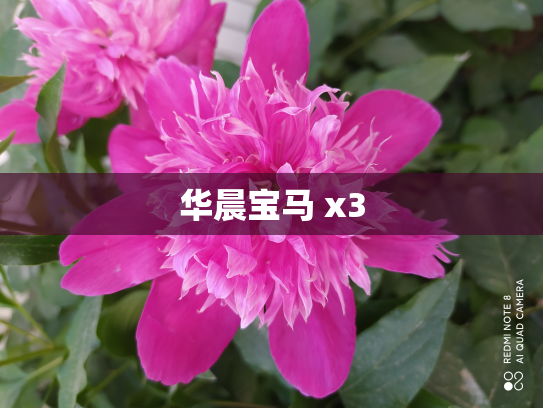 华晨宝马 x3