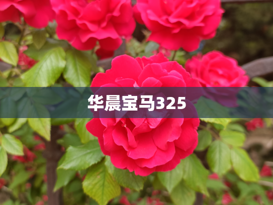 华晨宝马325