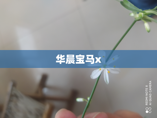 华晨宝马x