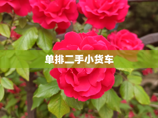单排二手小货车