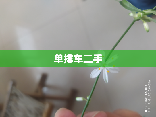 单排车二手