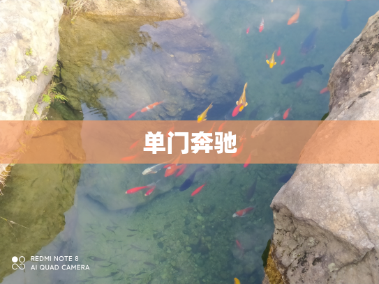 单门奔驰
