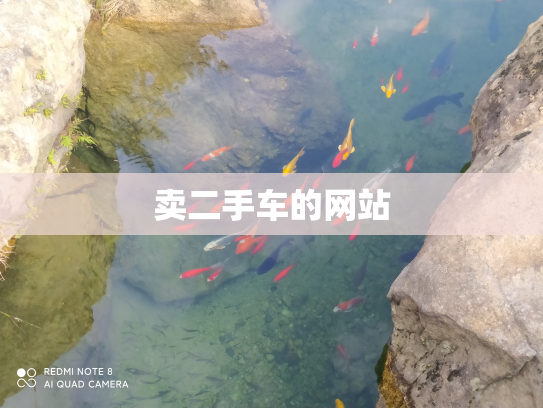 卖二手车的网站