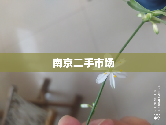 南京二手市场