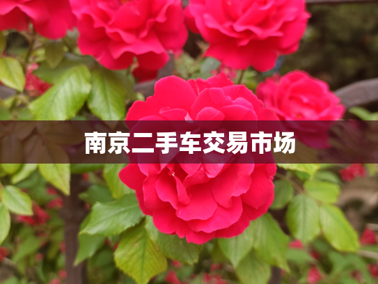 南京二手车交易市场