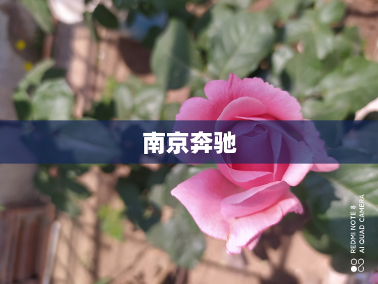 南京奔驰