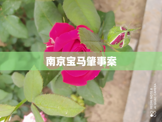 南京宝马肇事案