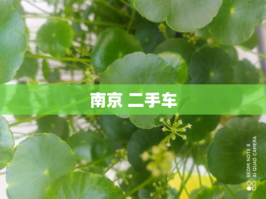 南京 二手车