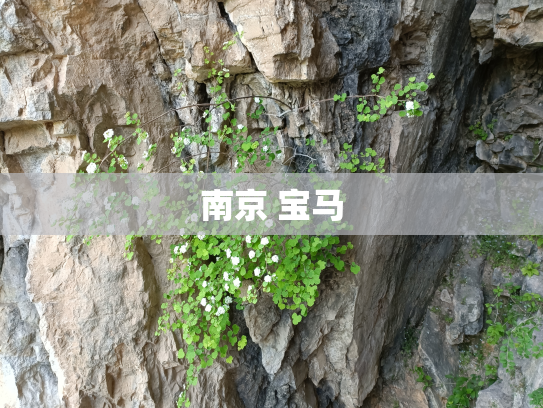 南京 宝马