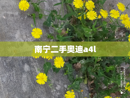 南宁二手奥迪a4l