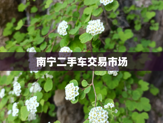 南宁二手车交易市场