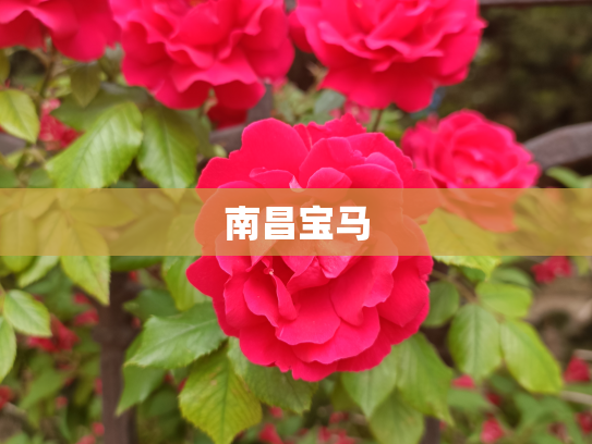 南昌宝马