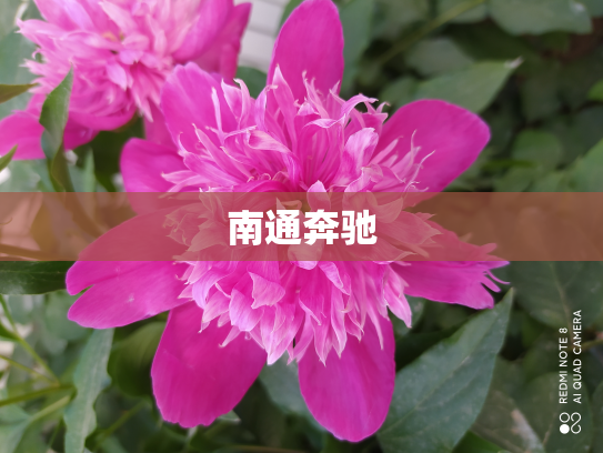 南通奔驰