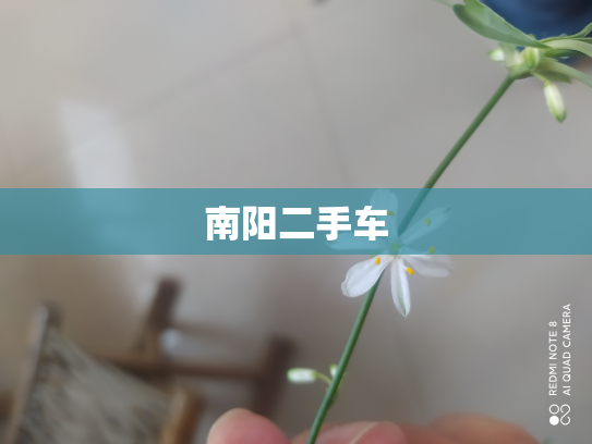 南阳二手车